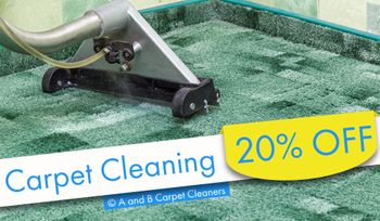 Carpet andor Rug Cleaning Special - Brooklyn Carpet andor Rug Cleaning Special - Brooklyn