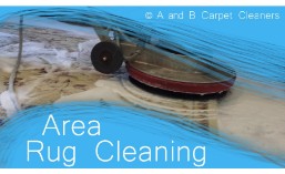 Area and Oriental Rug Cleaning - Dumbo 11201