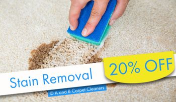 A and B Carpet Cleaners - Stain Removal Special