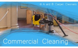 Commercial Services - Dumbo 11201