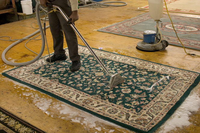 Area and Oriental Rug Cleaning - Dumbo 11201