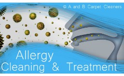 Allergy Control - Brooklyn