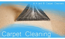 Carpet Cleaning - Dumbo 11201