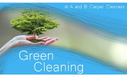 Eco Friendly Cleaning